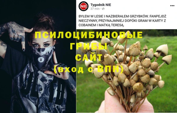 эйфоретик Краснотурьинск