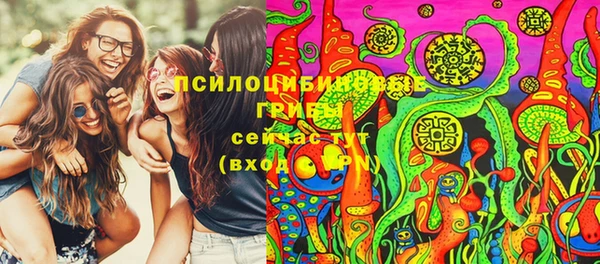 PSILOCYBIN Краснослободск